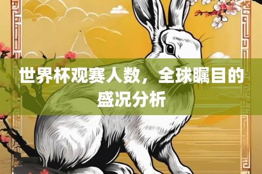 世界杯观赛人数，全球瞩目的盛况分析