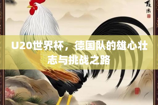 U20世界杯，德国队的雄心壮志与挑战之路