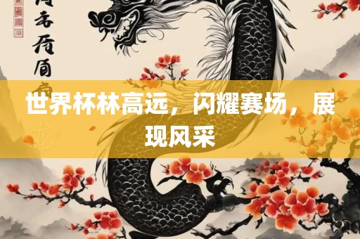 世界杯林高远，闪耀赛场，展现风采广西贺州市华昌新材料有限公司