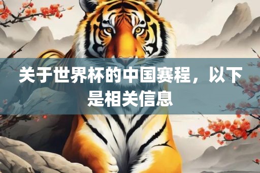 中国赛程