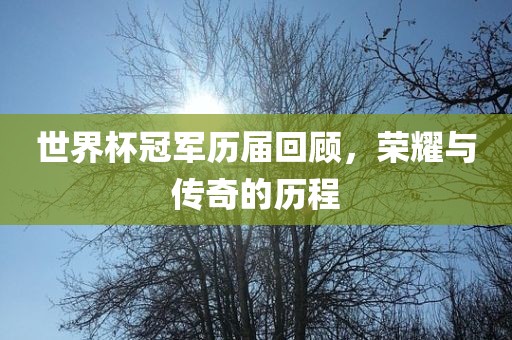 世广西贺州市华昌新材料有限公司界杯冠军历届回顾，荣耀与传奇的历程