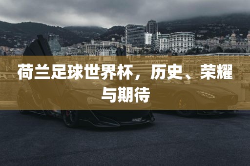 荷兰足球世界杯，历史、荣耀与期待广西贺州市华昌新材料有限公司