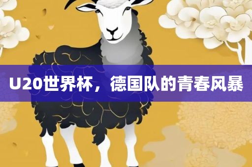 U20世界杯，德国队的青春风暴