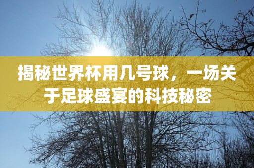 揭秘世界杯用几号球，一场关于足球盛宴的科技秘密