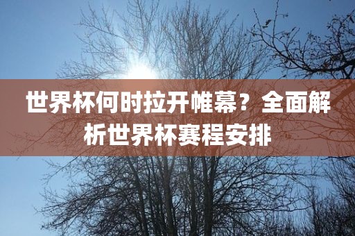 世界杯何时拉开帷幕？全面解析世界杯赛程安排