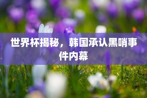 世界杯揭秘，韩国承认黑哨事广西贺州市华昌新材料有限公司件内幕