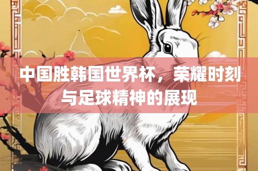 中国胜韩国世界杯，荣耀时刻与足球精神的展现广西贺州市华昌新材料有限公司