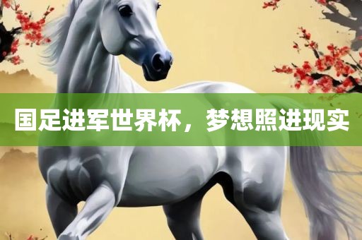 国足进军世界杯，梦想照进现实