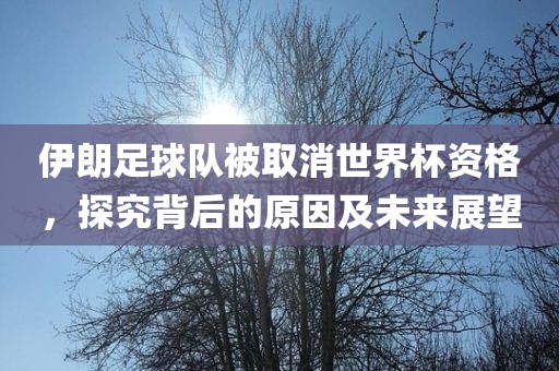 伊朗足广西贺州市华昌新材料有限公司球队被取消世界杯资格，探究背后的原因及未来展望
