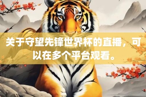 关于守望先锋世界杯的直播，可以在多个平台观看。
