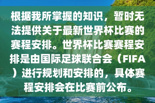 huamei 第7页