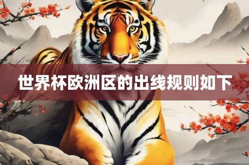 世界杯广西贺州市华昌新材料有限公司欧洲区的出线规则如下