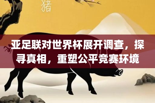 亚足联对世界杯展开调查，探寻真相，重塑公平竞赛环境广西贺州市华昌新材料有限公司