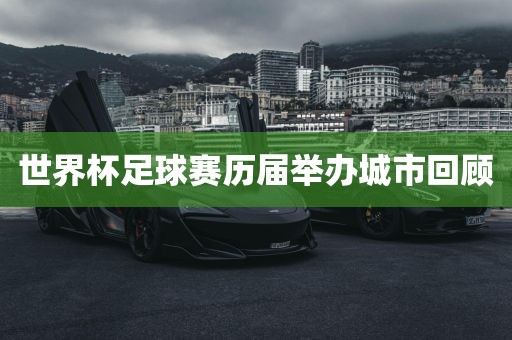 世界杯足球赛历届举办城市回顾广西贺州市华昌新材料有限公司