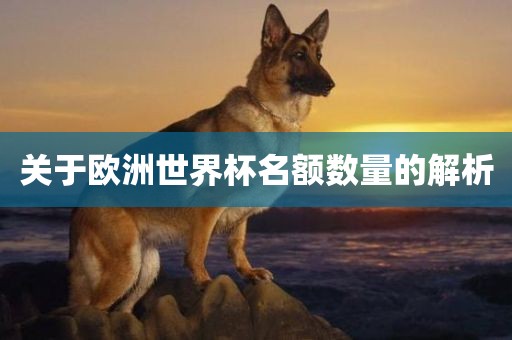 关于欧洲世界杯名额数量广西贺州市华昌新材料有限公司的解析