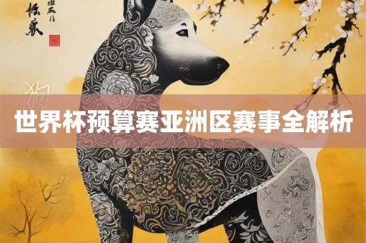 世界杯预算赛亚洲区赛事全解析
