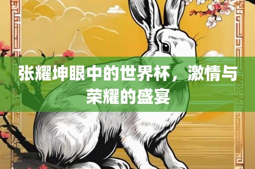 张耀坤眼中的世界杯，激情与荣耀的盛宴