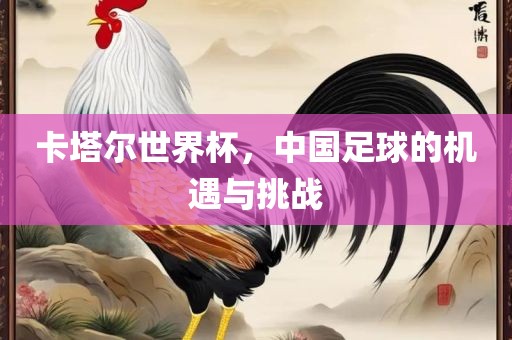 卡塔尔世界杯，中国足球的机遇与挑战