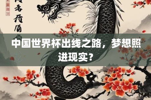 中国世界杯出线之路，梦想照进现实？