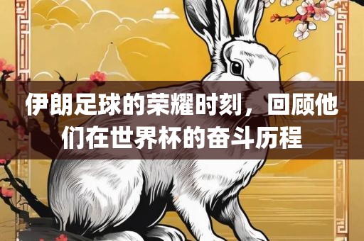 伊朗足球的荣耀时刻，回顾他们在世界杯的奋斗历程