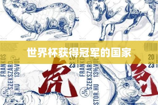 世界杯获得冠军的国家广西贺州市华昌新材料有限公司