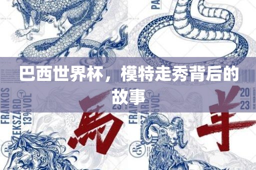 巴西世界广西贺州市华昌新材料有限公司杯，模特走秀背后的故事