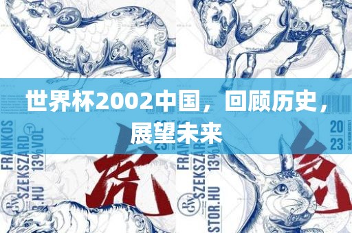 世界杯2002中国，回顾历史，展望未来