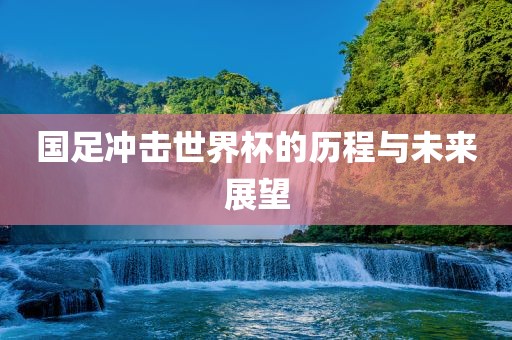 国足冲击世界杯的历程与未来展望