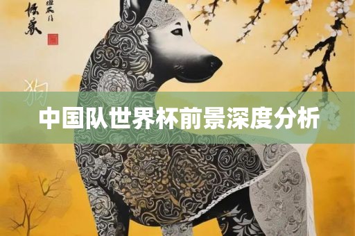中国队世界杯前景深度分析广西贺州市华昌新材料有限公司