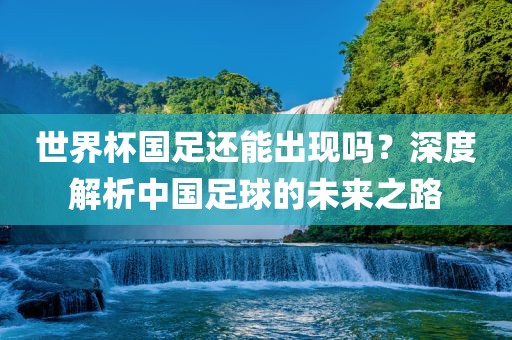 世界杯国足还能出现吗？深度解析中国足球的未来之路