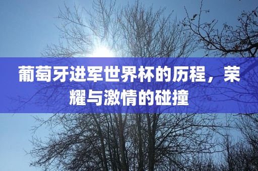 葡萄牙进军世界杯的历程，荣耀与激情的碰撞广西贺州市华昌新材料有限公司