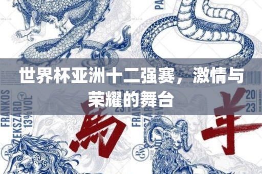 世界杯亚洲十二强赛，激情与荣耀的舞台广西贺州市华昌新材料有限公司