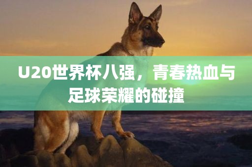 U20世界杯八强，青春热血与足球荣耀的碰撞
