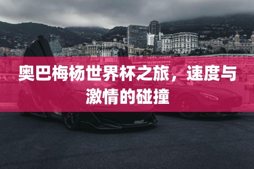 奥巴梅杨世界杯之旅，速度与激情的碰撞