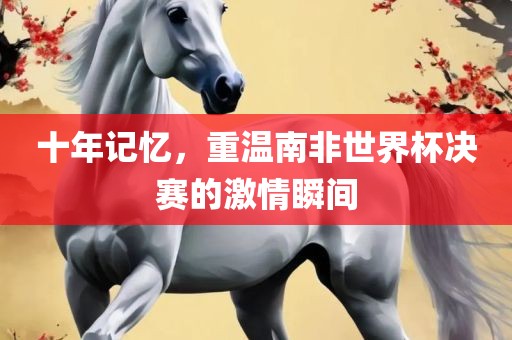 十年记忆，重温南非世界杯决赛的激情瞬间
