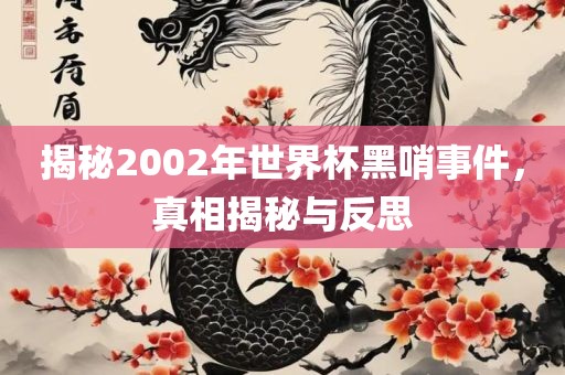 揭秘2002年世界杯黑哨事件，真相揭秘与反思