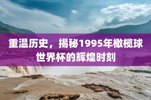 重温历史，揭秘1995年橄榄球世界杯的辉煌时刻