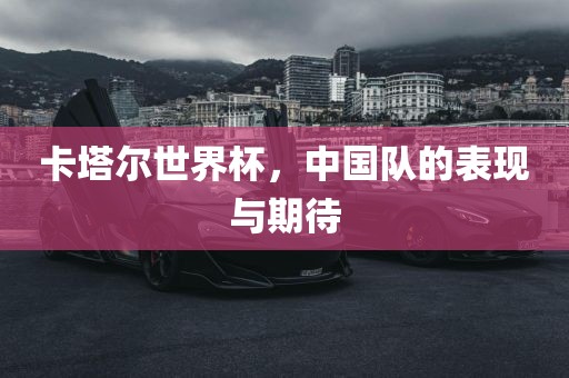 卡塔尔世界杯，中国队的表现与期待