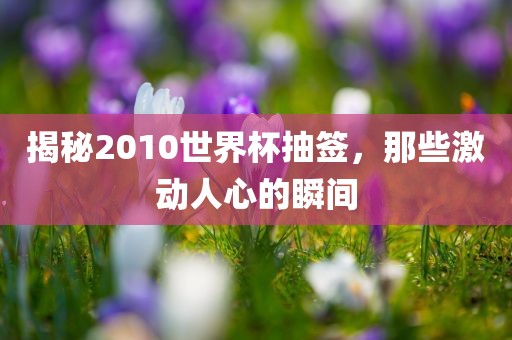 揭秘2010世界杯抽签，那些激动人心的瞬间