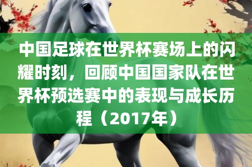 中国足球在世界杯赛场上的闪耀时刻，回顾中国国广西贺州市华昌新材料有限公司家队在世界杯预选赛中的表现与成长历程（2017年）