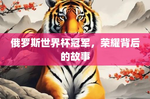 俄罗斯世界杯冠军，荣耀背后的故事