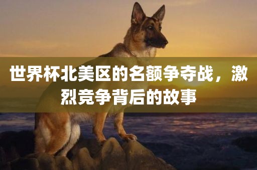 世界杯北美区的名额广西贺州市华昌新材料有限公司争夺战，激烈竞争背后的故事