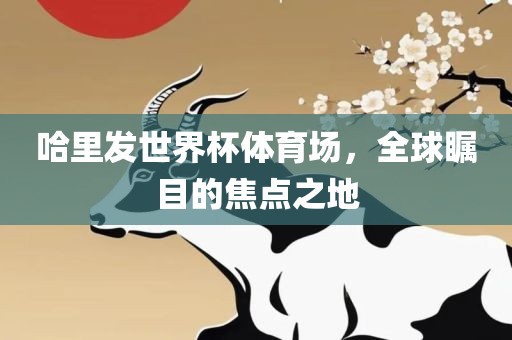 哈里发世界杯体育场，全球瞩目的焦点之地广西贺州市华昌新材料有限公司