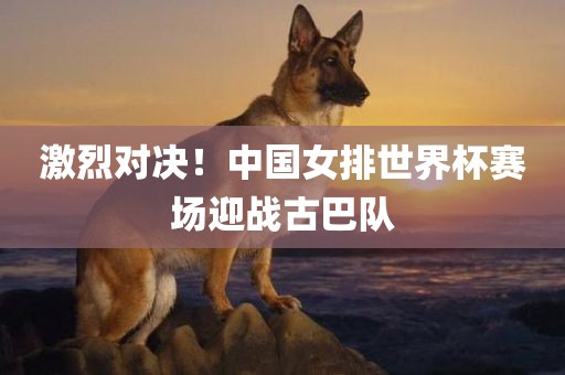 激烈对决！中国女排世界杯赛场迎战古巴队