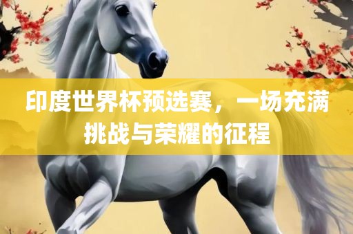 印度世界杯预选赛，一场充满挑战与荣耀的征程