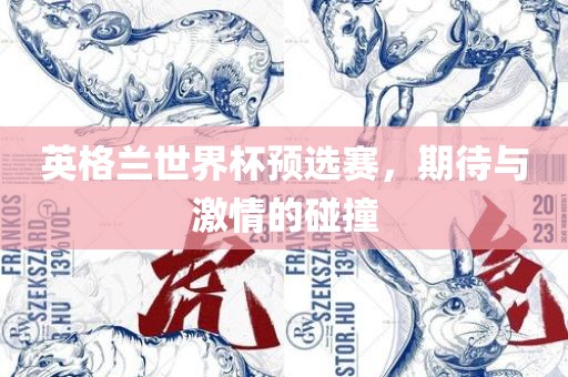 英格兰世界杯预选赛，期待与激情的碰撞广西贺州市华昌新材料有限公司
