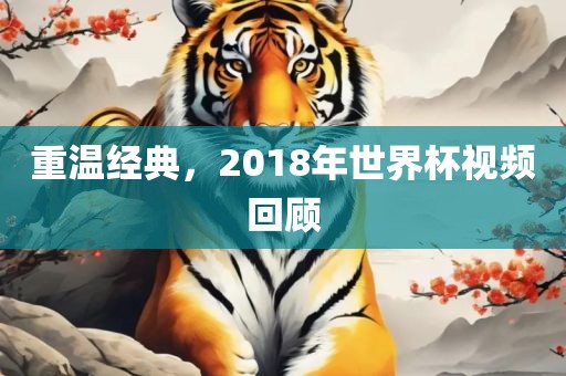 重温经典，2018年世界杯视频回顾