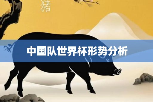 中国队世界杯形势分析