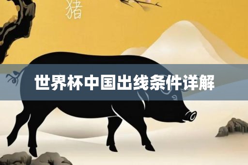 世界杯广西贺州市华昌新材料有限公司中国出线条件详解