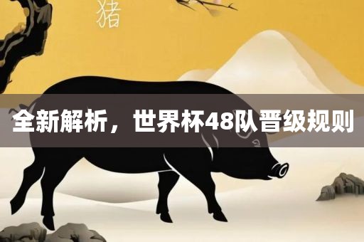 全新解析，世界杯48队晋广西贺州市华昌新材料有限公司级规则